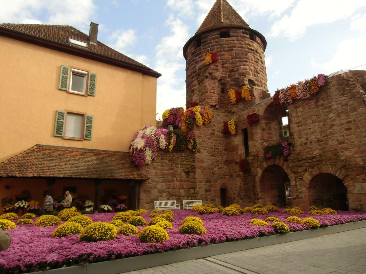 Ferienwohnung Keil Lahr  Exterior photo
